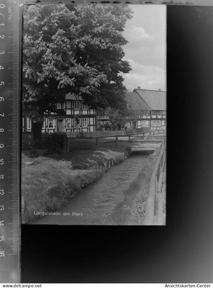 30043891 - Langelsheim