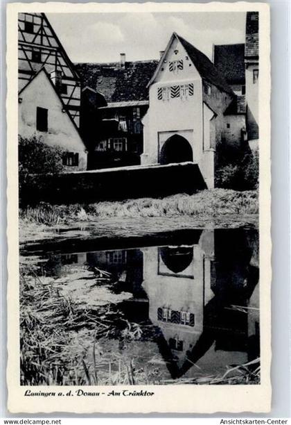 51436348 - Lauingen (Donau)
