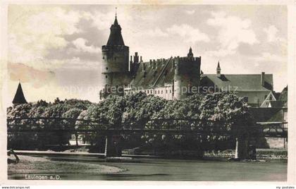 Lauingen Donau Bayern Schloss Bruecke Fluss Turm Baeume Burganlage Stadtansicht