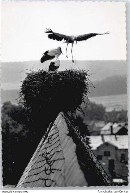 50547091 - Lich , Hess