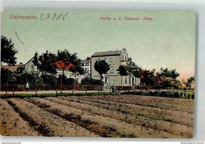 13528249 - Liebenwalde