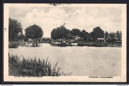 AK Liebenwalde, Schleuse mit Schleusenhaus, Panorama