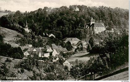 Liebstadt Teilansicht mit Schloss