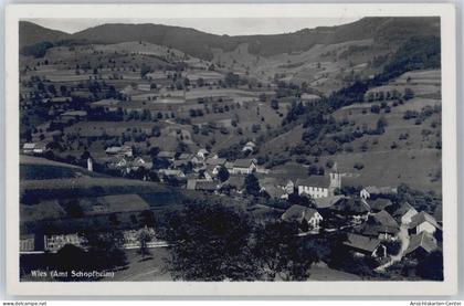 50621906 - Wies , Schwarzw