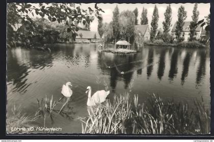 AK Lohne i. O., Mühlenteich