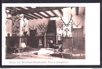 AK Wendisch-Wilmersdorf /Ludwigsfelde, Gutshof, Kaminzimmer