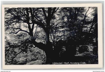 51663614 - Luebbecke , Westf