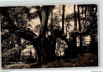 52151394 - Luebbecke , Westf
