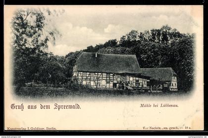 AK Lübbenau /Spreewald, Mühle bei Lübbenau