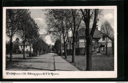 AK Lübtheen i. Meckl., Strassenpartie, NSV Heim