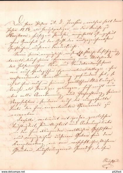 Dokument Adel , Herzhorn , 1861 , Ranzau und Elmshorn , A.D. Jensen , Lüchow !!!