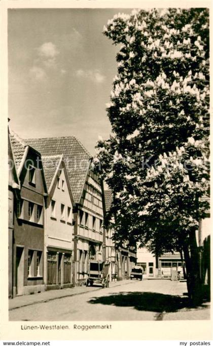 Luenen UNNA NRW Roggenmarkt Kastanienbaum
