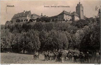Mansfeld/Südharz - Allstedt - Grossh. Schloss mit Fohlenweide