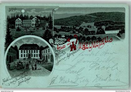 13555925 - Wilhelmsthal b Eisenach, Thuer