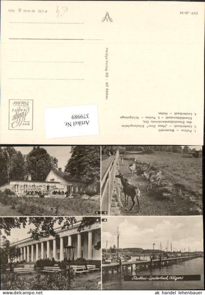 379989,Putbus Rosencafe Wildgehege Lauterbach Haus Goor Hafen Mehrbildkarte