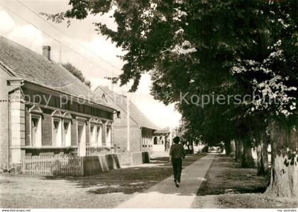 Buchholz Roebel Gebaeude