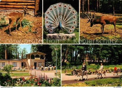 Ueckermuende Mecklenburg Vorpommern Tierpark