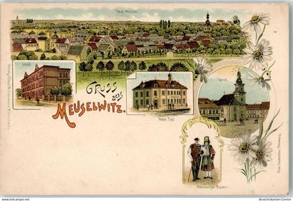 13505224 - Meuselwitz , Thuer