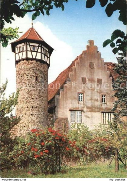 Michelstadt Diebsturm