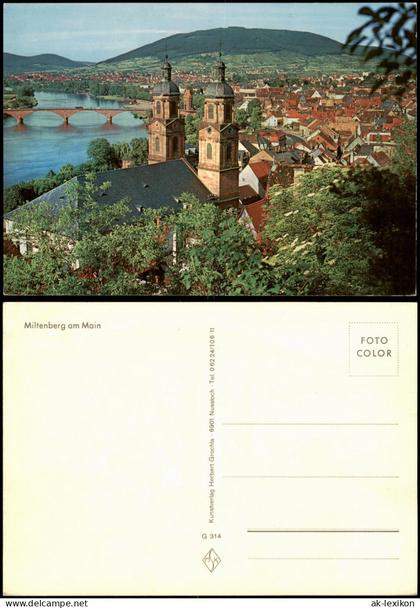 Miltenberg (Main) Panorama-Ansicht, Partie a.d. Kirche, Main-Brücke 1965
