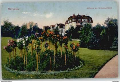 Mittweida Schwanenteich