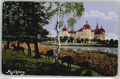 Moritzburg Sachsen Moritzburg Dresden Jagdschloss