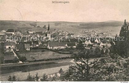 Muensingen Panorama