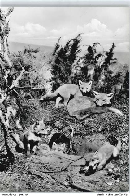 50347392 - Muenster , Westf