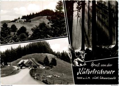 Münstertal - Almgaststätte Kälbelescheuer