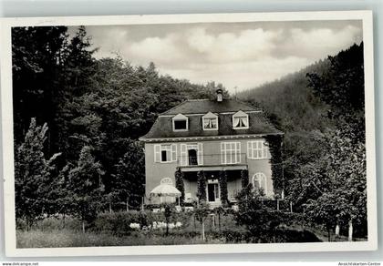 13935078 - Neckargemuend