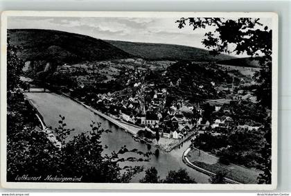 52260287 - Neckargemuend