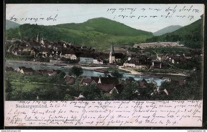 AK Neckargemünd, Neckarpartie im Ort