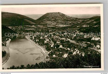 Neckargemuend Panorama