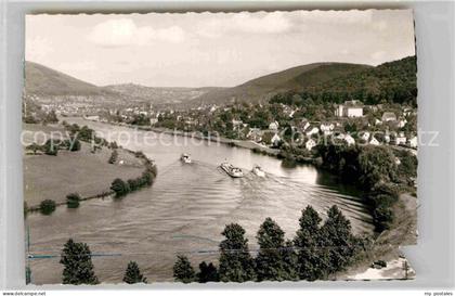Neckargemuend Panorama