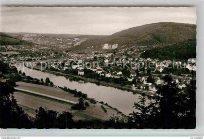 Neckargemuend Panorama