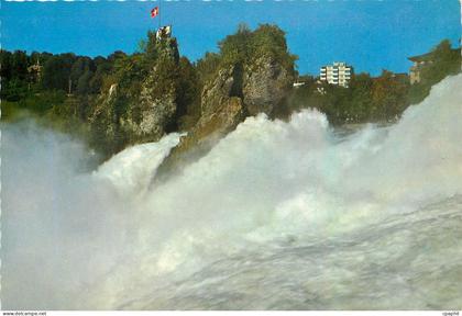 CPM Rheinfall bei Neuhausen