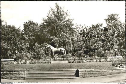 Fuerstenberg Mecklenburg Fuerstenberg Pferd