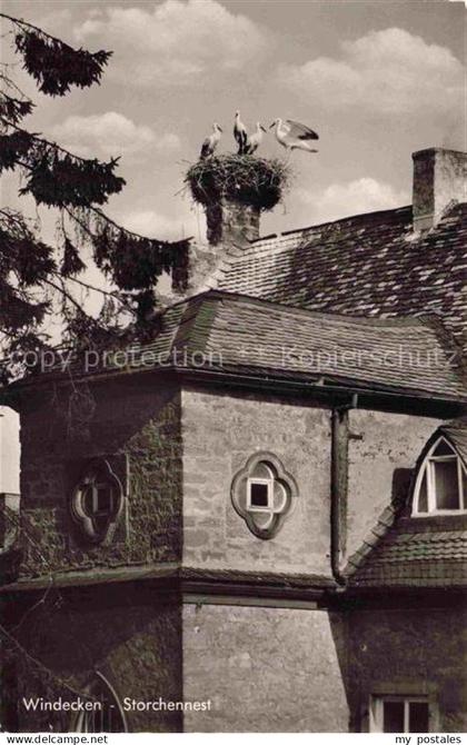Windecken Storchennest Stoerche Turm Mittelalter Dach Mauerwerk Baum