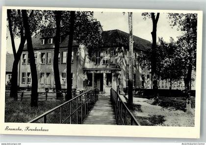 10737475 - Bramsche , Hase