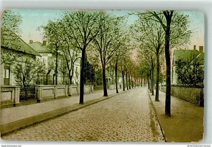 13504683 - Bramsche , Hase