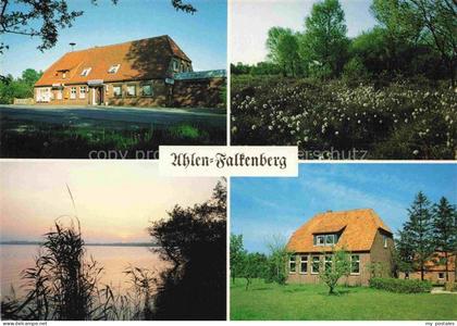 Ahlen-Falkenberg Moorquelle Gasthaus See Schilf Wohnhaus Wiesenblumen Abendstimm