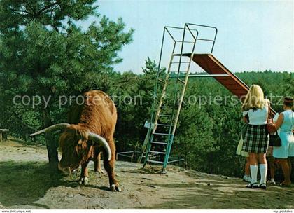 Haren Ems Naturpark Hilterberg Bueffel