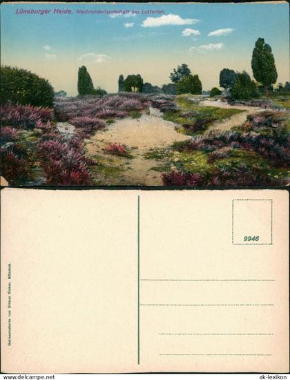 Lüneburger Heide Lüneburger Heide Wachholderlandschaft bei Lutterloh 1910