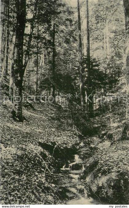 Nienburg Weser Oyler Berg Kleines Baechlein