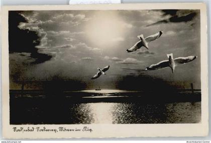 50492924 - Norderney