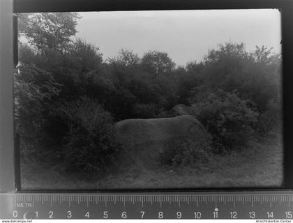 30020485 - Lage , Lippe