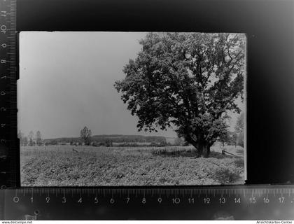 30104586 - Wettringen , Kr Steinfurt