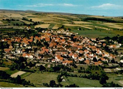 Borgholz Borgentreich Warburg NRW Warburg Dorf Wohnhaeuser Felder Huegel Luftbil