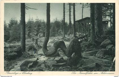 CPM Braunlage Oberharz