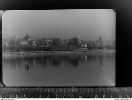 30081625 - Mittelheim , Rheingau